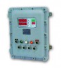 S21Ex Batch controller clock based in EExd case